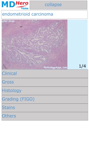 Surgical Pathology(圖1)-速報App