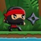 Secret Ninja Garden is a place where you train ninja dodging shurikens