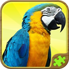 Activities of Animal Puzzle Games - Fun Jigsaw Puzzles