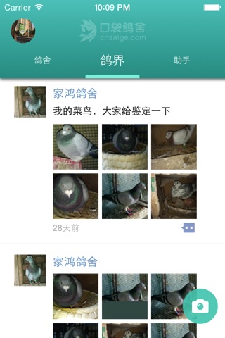 口袋鸽舍 screenshot 2