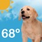 If you are looking for an accurate, entertaining, weather app look no further