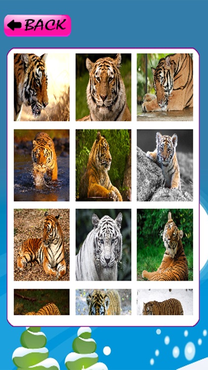 Animal Jigsaw Puzzle Tiger Games Education