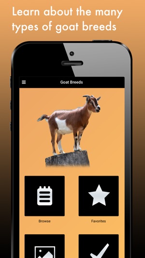 Goat Breeds: Various Types of Goat(圖1)-速報App