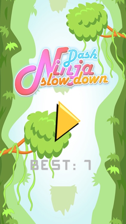 Ninja Slow Down Dash