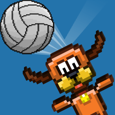 Activities of Pixel Volley