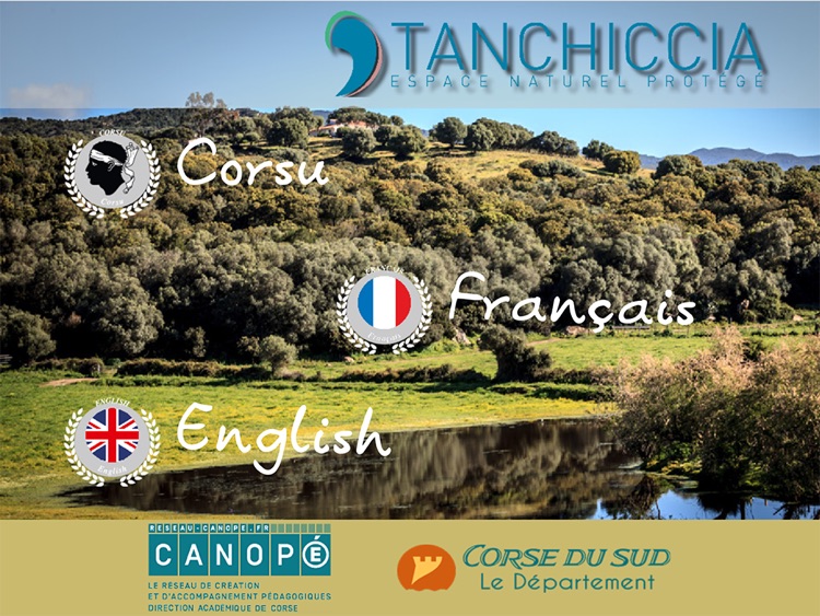 L'étang de Tanchiccia