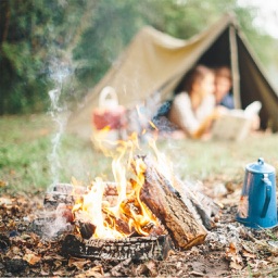 Camping - A Survival Guide