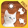 Cat Mate Pro - Toys and games for cats