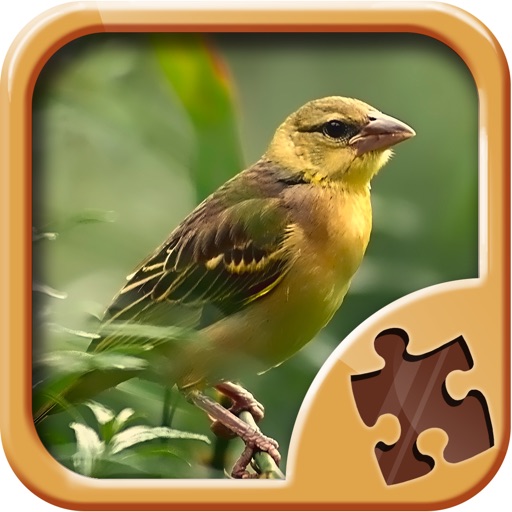 Birds Jigsaw Puzzles - Amazing Logical Game Icon