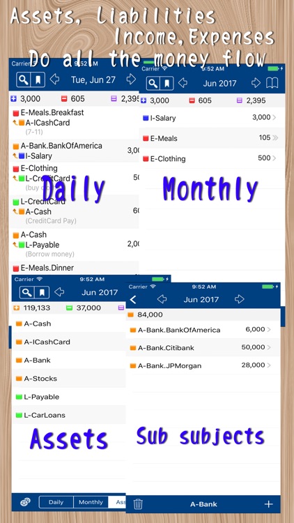 MyAsset Pro - My Accounting Book Pro screenshot-3