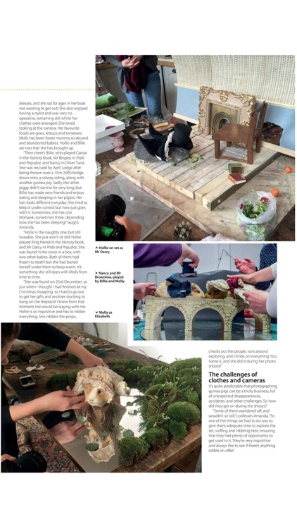 Small Furry Pets Magazine