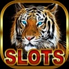 Wild Cat Slots Kingdom - Jackpot Casino