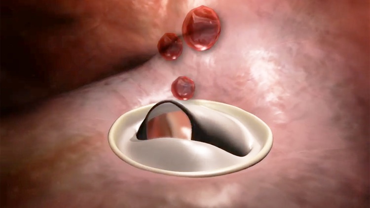 Physiology Animations screenshot-0