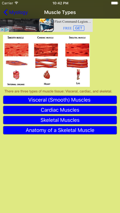 Myology screenshot 3