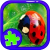 Learning Jigsaw Puzzles Ladybug Version