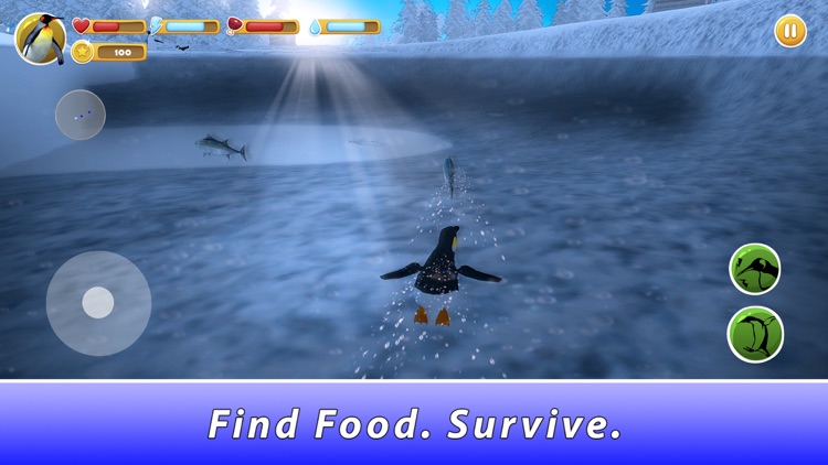 Penguin Family Simulator Full