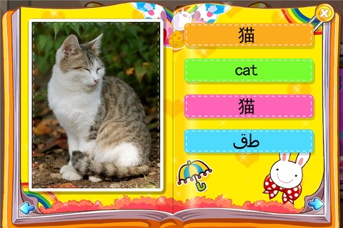 宝宝识字卡片HD-早教英语教育学习 screenshot 2