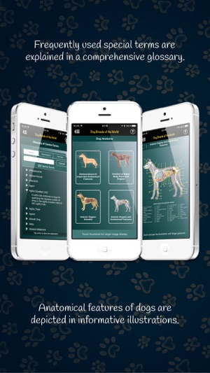 Dog Breeds of the World(圖5)-速報App