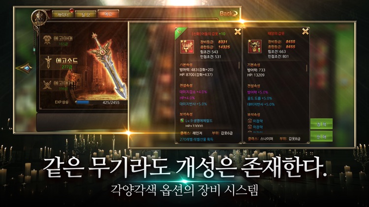 반지:AOR