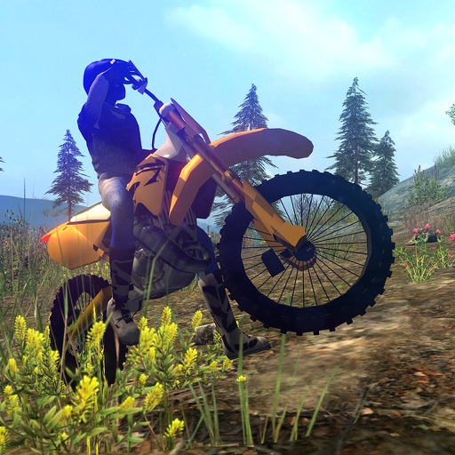 All Online Bike Games for You