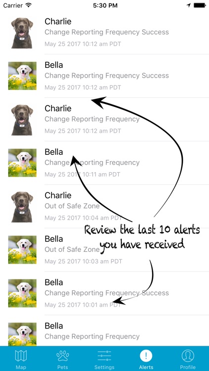Gibi Pet GPS Tracking Service screenshot-4