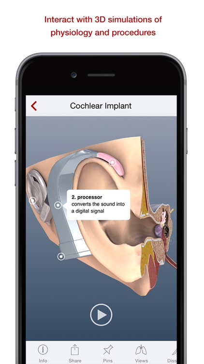 BioDigital 3D Human Anatomy