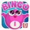 ***Download the #1 bingo game for FREE today