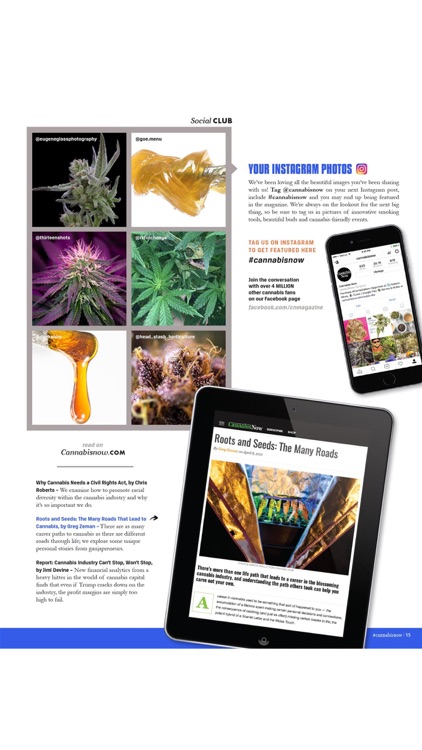 Cannabis Now screenshot-3