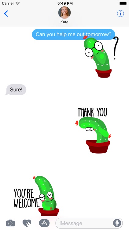 Mr Cactus Stickers