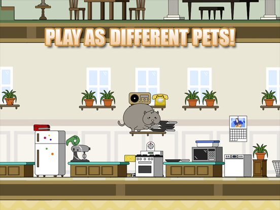 Скачать игру Clumsy Cat