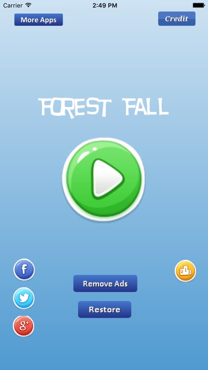 Forest Fall