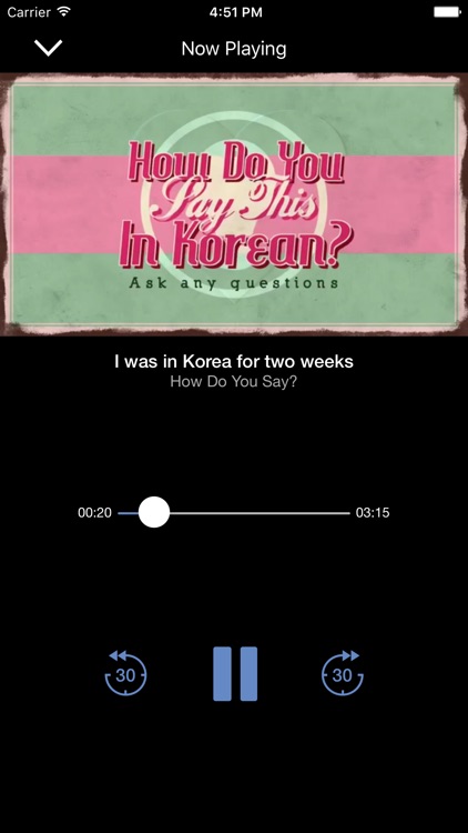 Talk to Me in Korean - Lessons+ (TTMIK) screenshot-4