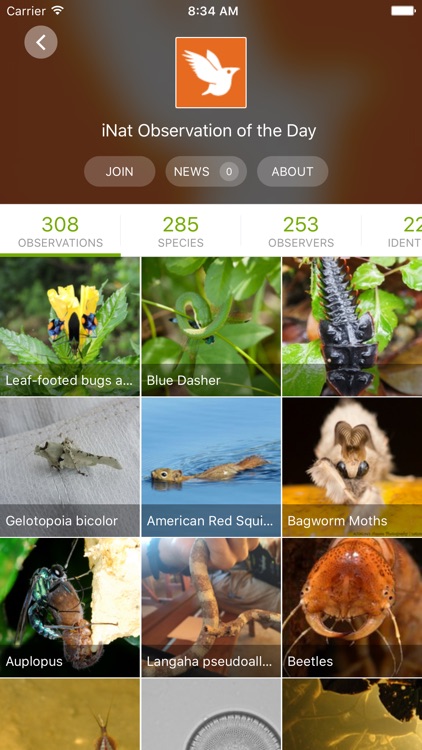 iNaturalist