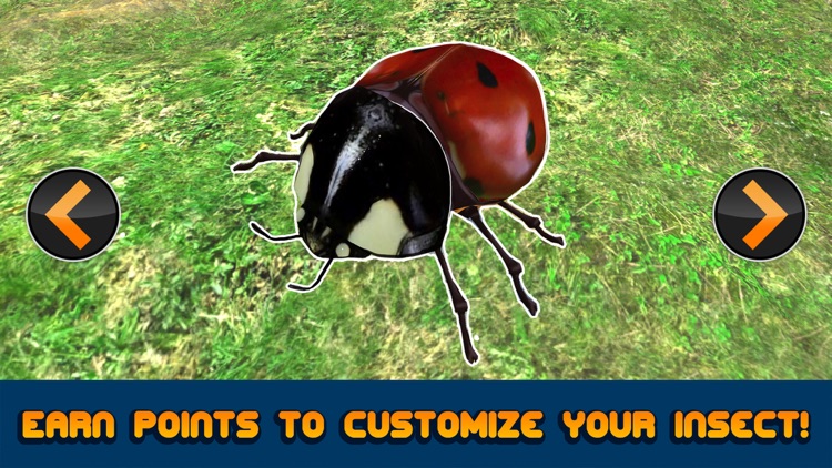 Flying Ladybug Insect Simulator 3D