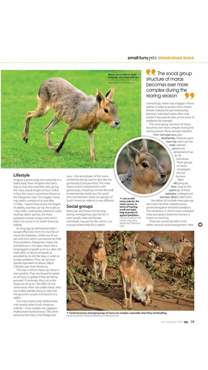 Small Furry Pets Magazine screenshot-3
