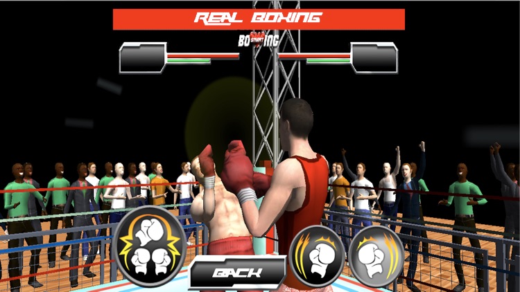 Real Wrestling Fighting