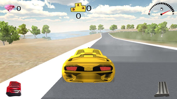 Racing North Road screenshot-4