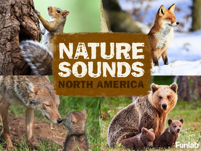 Nature Sounds North America(圖1)-速報App