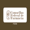 CFF FEM