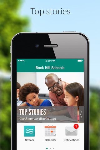 Rock Hill Schools - náhled