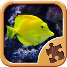 Activities of Cool Fish Jigsaw Puzzles - Fun Logical Games