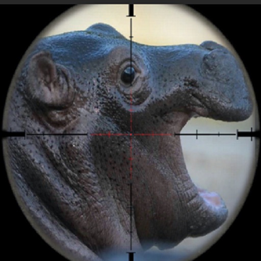 Angry Wild Hippo Hunter Simulator Mania Icon