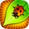 A Tiny Bug Village Heroes – Frontline Battle Bugs Assault Free