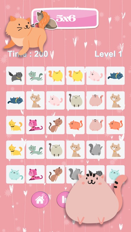 Cute Little Kitten Find Matching Game