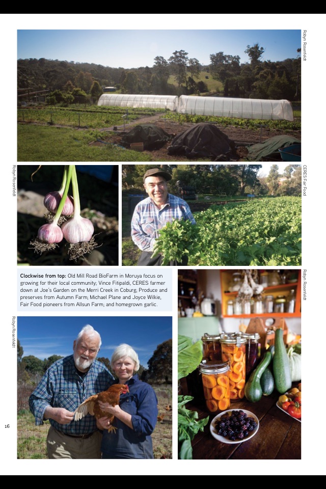Pip Magazine screenshot 2
