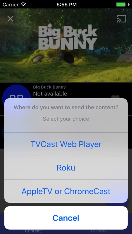 TVCast Pro IPTV on your TV screenshot-4