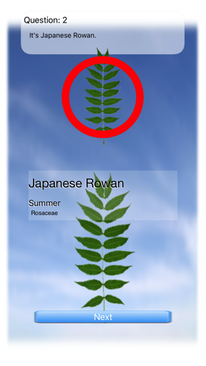 Leaves Quiz Touch(圖4)-速報App