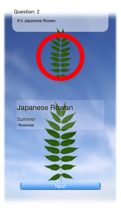 Leaves Quiz Touch screenshot-3