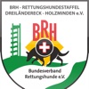 BRH RHS HOL