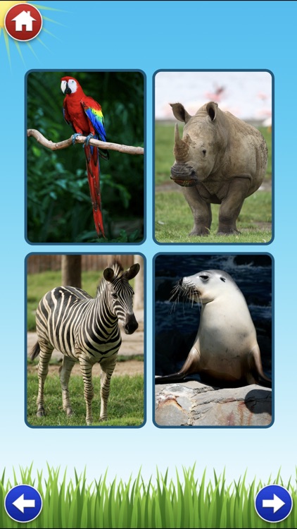 Zoo Sounds Lite - A Fun Animal Sound Game for Kids